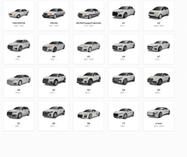 Haynes Pro  (Autodate online) abonim 1 vite